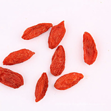 Innere Mongolische Goji-Beere Frucht getrocknete Goji-Beeren Masse meistverkaufte Goji-Beere